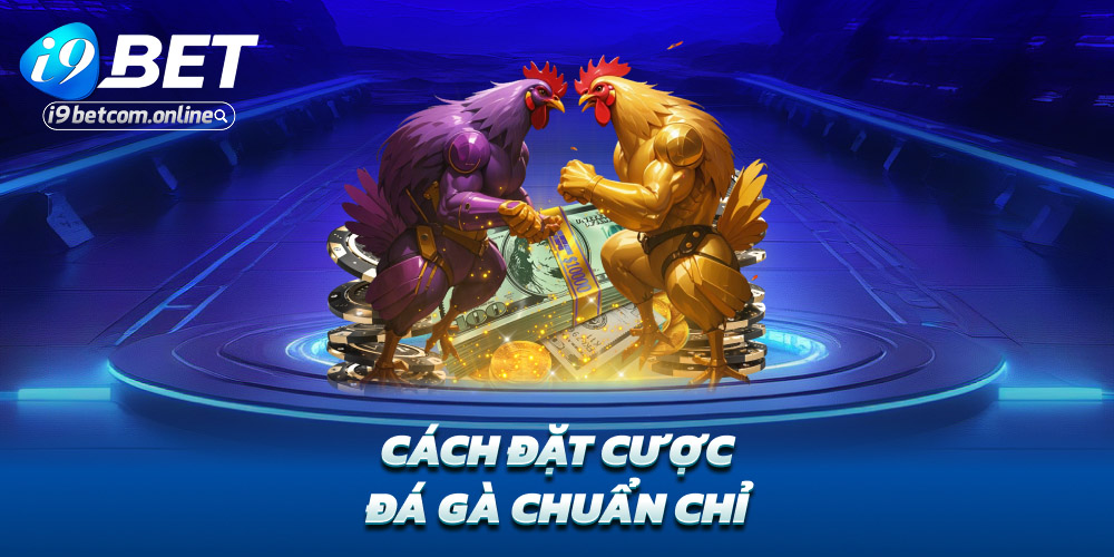 Cách đặt cược đá gà chuẩn chỉ