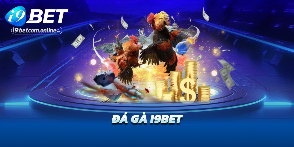 Đá gà i9bet